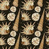 Vector sealess natural pattern with various seashells on dark brown background.