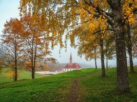 otoño Mañana paisaje. brillante otoño brumoso paisaje con dorado arboles y antiguo palacio. Gatchina. Rusia. foto