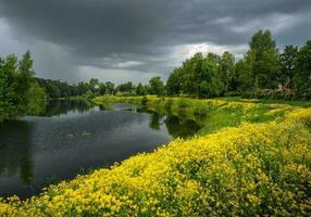 Summer thunderous landscape with a river, yellow flowers, forest and dark dramatic clouds photo