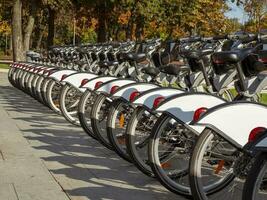 City bikes are parked in a row in the fall. photo