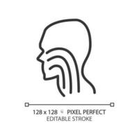 Trachea pixel perfect linear icon. Throat structure performing. Human body parts. Medical examination. Thin line illustration. Contour symbol. Vector outline drawing. Editable stroke