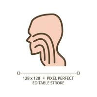 Trachea pixel perfect RGB color icon. Throat structure performing. Human body parts. Medical examination. Thin line illustration. Contour symbol. Vector outline drawing. Editable stroke