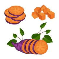 sweet potato vector clip art element, cassava, ubi jalar