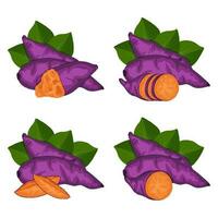 sweet potato vector clip art element, cassava, ubi jalar