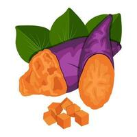 sweet potato vector clip art element, cassava, ubi jalar