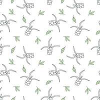 Seamless vector pattern sea buckthorn, berry in doodle style