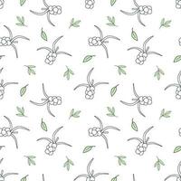 Seamless vector pattern sea buckthorn, berry in doodle style