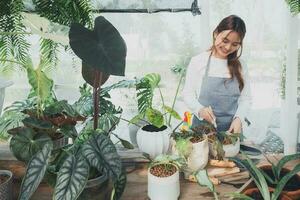 hogar jardinería, amor de plantas y cuidado. pequeño negocio. foto