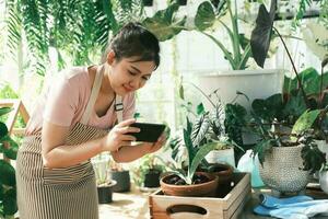 sonriente joven mujer tomando teléfono inteligente imagen de planta en un pequeño tienda foto