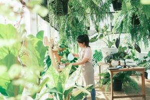 Young woman plant owner shop watering plants in a plant shop. photo