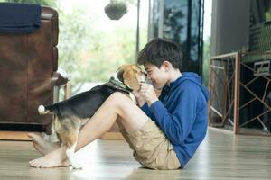 Child Playing With His Pet Dog At Home photo