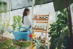 hogar jardinería, amor de plantas y cuidado. pequeño negocio. foto