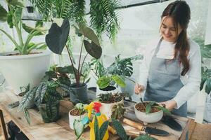 hogar jardinería, amor de plantas y cuidado. pequeño negocio. foto