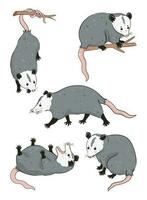 Set of cute possums isolated on white background. Vector graphics.