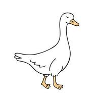 Goose, bird, pet. Illustration for printing, backgrounds, covers and packaging. Image can be used for greeting cards, posters, stickers and textile. Isolated on white background. vector