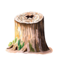 tree stump isolated on white background png