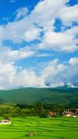 arroz campos en el lluvioso temporada y el movimiento de nubes en azul cielo. hora lapso vídeo video