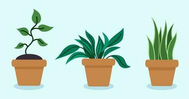 Plants in pots flat style. Set of design elements. Vector illustration