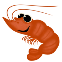 dessin animé mignon de crevettes png