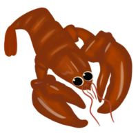 dessin animé mignon de homard png