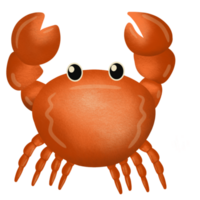 schattige krab cartoon png