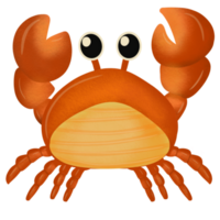 schattige krab cartoon png