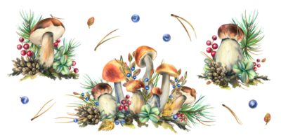 A set of forest mushrooms, boletus and blueberries, lingonberries, twigs, cones, leaves. Watercolor illustration, hand drawn. Isolated png