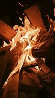 fogo dentro a Sombrio queimando madeiras video