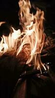 fogo dentro a lareira queimando madeiras vertical Visão video