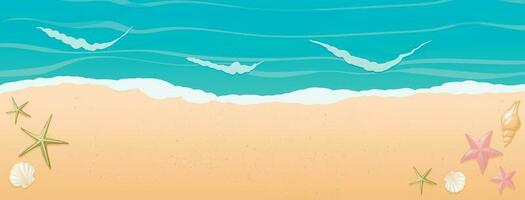 Vector cartoon horizontal background with gradient. Top view of the sunny beach by the sea or ocean. Sunny landscape. Shells of different shapes and starfish on the sand. Holidays decoration