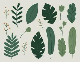 Leaves of tropical plants, trees and palms. Monstera, branches with flowers and berries. Vector set of isolated flat illustrations.