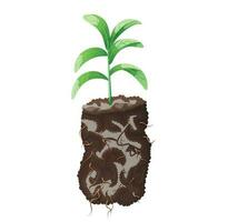 A young plant with leaves and roots in a pile of soil. Vector isolated cartoon illustration, gardening and growth concept.