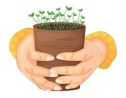 Hands holding a pot with sprouts of young seedlings. Vector isolated cartoon design element, gardening and sowing concept.