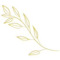 oro Clásico hojas y floral línea arte, fiesta bokeh antecedentes png
