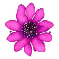floración en acuarela, maravilloso floral obra de arte para tu creativo proyectos png