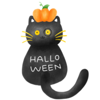 Halloween black cat watercolor hand drawn png