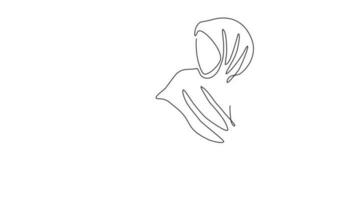 Animated self drawing of single continuous line draw single woman illustration with writing activity. Moslem woman holding the pen for writing. Full length one line animation video