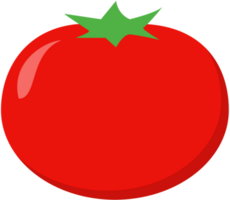 tomate ícone ilustração. png