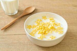 cereals with fresh milk photo