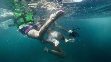 oigenkännlig människor turister i liv jackor simma i de hav. snorkling. underhållning för turister på hav video