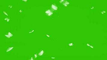 Animated white flying butterflies on green video