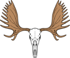 Moose Skull PNG Illustration