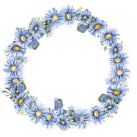 Summer chamomile flowers wreath. png