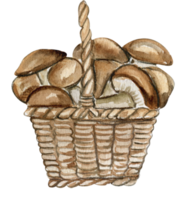 otoño ilustración de cesta con hongos. mano dibujado ilustración de otoño. png