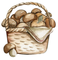 Autumn illustration of basket with mushrooms. Hand drawn illustration of autumn. png