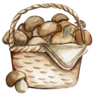 herfst illustratie van mand met champignons. hand- getrokken illustratie van herfst. png