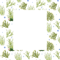 kader van groen zee planten waterverf illustratie. laminaria, zee salade, ascophyllum hand- getrokken. ontwerp voor pakket, label, bord, label, uitnodiging, inpakken, marinier verzameling. png