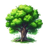Illustration of trees isolated on background with png