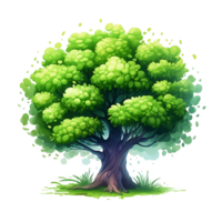 Illustration of trees isolated on background with png