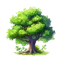 Illustration of trees isolated on background with png